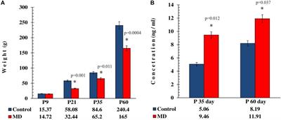 Long-Term Effects of <mark class="highlighted">Maternal Deprivation</mark> on the Volume of Dopaminergic Nuclei and Number of Dopaminergic Neurons in Substantia Nigra and Ventral Tegmental Area in Rats